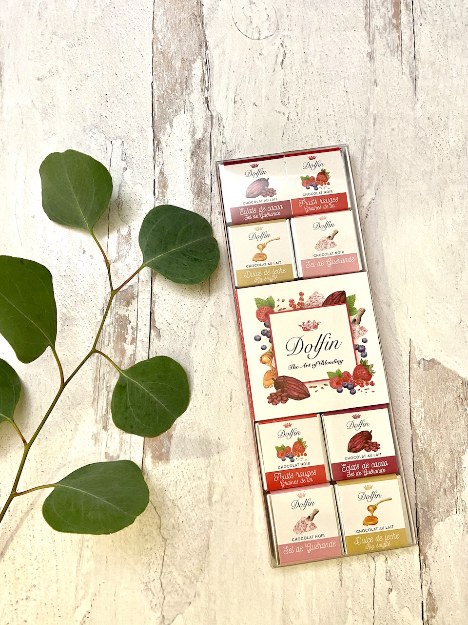 Dolfin 24 Chocolate Squares “Sweet & Salty”