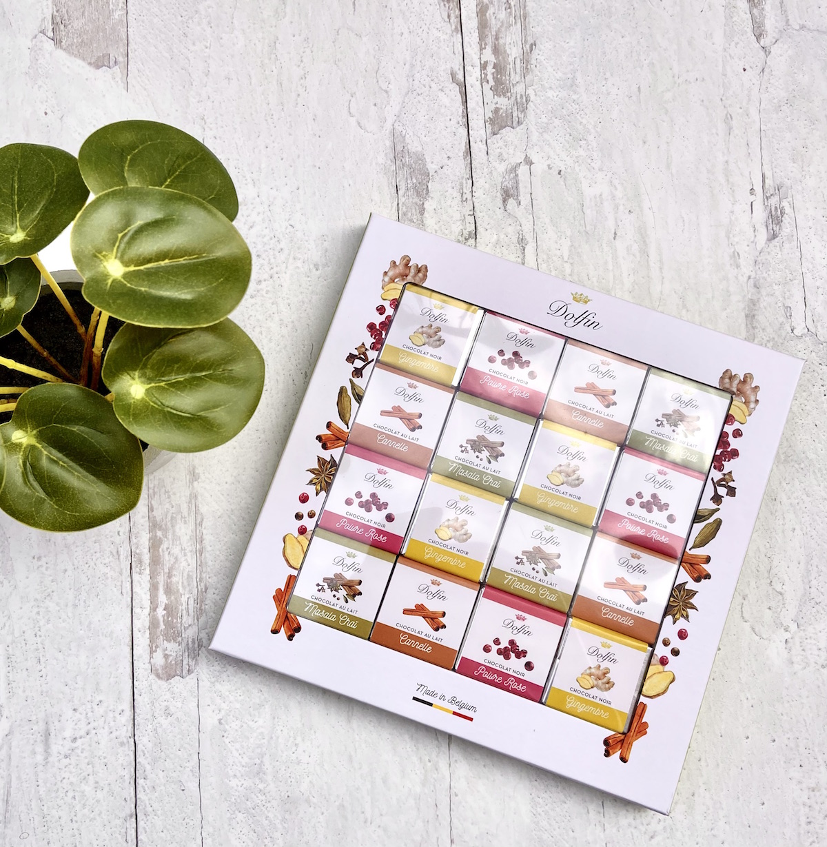 Dolfin Square 48pc Spice Box