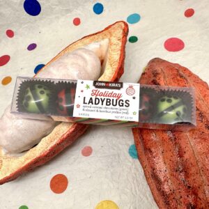 John & Kira's Holiday Ladybugs 5pc